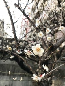 菅大臣神社