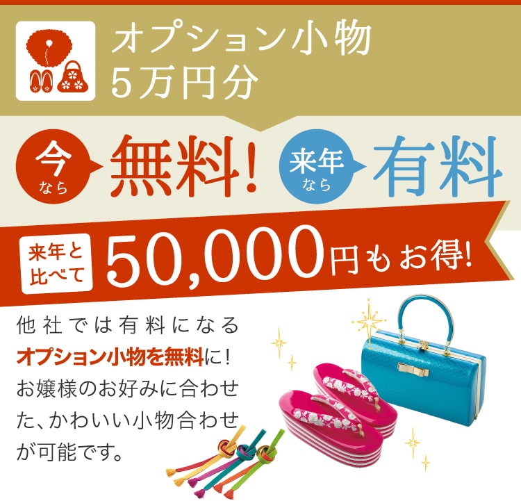 オプション小物5万円分「今なら無料!」