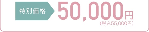特別価格：50,000円
